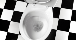 6 dicas para desentupir vaso sanitário sem sujeira