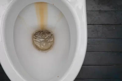 Desentupimento de vaso sanitário no Sítio Cercado