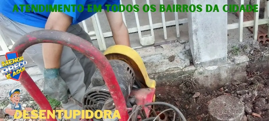 Introdução