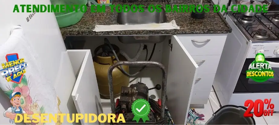 Quais são os benefícios de contratar um profissional para desentupir sua pia? Quais são os benefícios de contratar um profissional para desentupir sua pia?