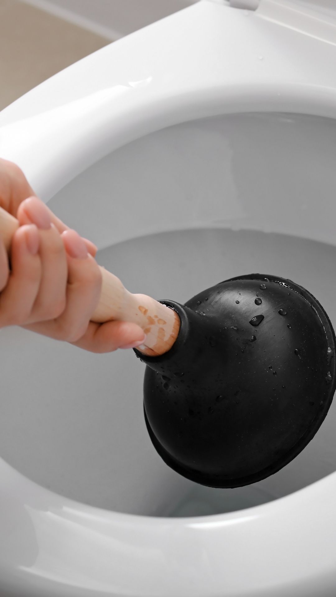 Sifão do vaso sanitário e princípio de funcionamento da garrafa pet