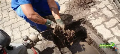 desentupidora rio grande