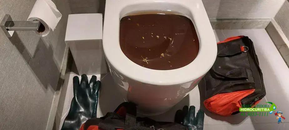 Como identificar quando é hora de desentupir vasos sanitários Como identificar quando é hora de desentupir vasos sanitários