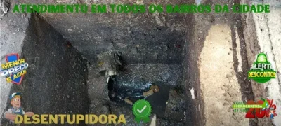 desentupidor de vaso sanitario