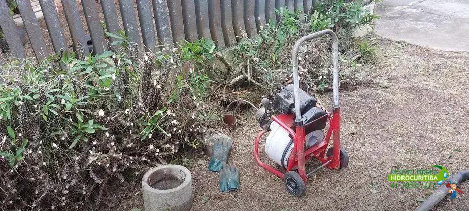 Receita caseira eficaz para eliminar mofo da parede
