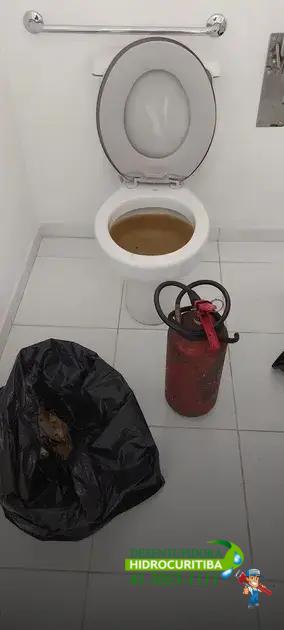 Entendendo as causas do mofo nas paredes Métodos simples para eliminar mofo em casa Dicas para prevenir o aparecimento de mofo nas paredes