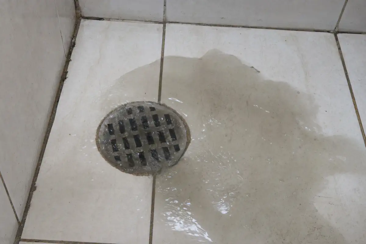 Esgoto voltando: água suja subindo pela grelha de um ralo de banheiro e se espalhando pelo piso de cerâmica