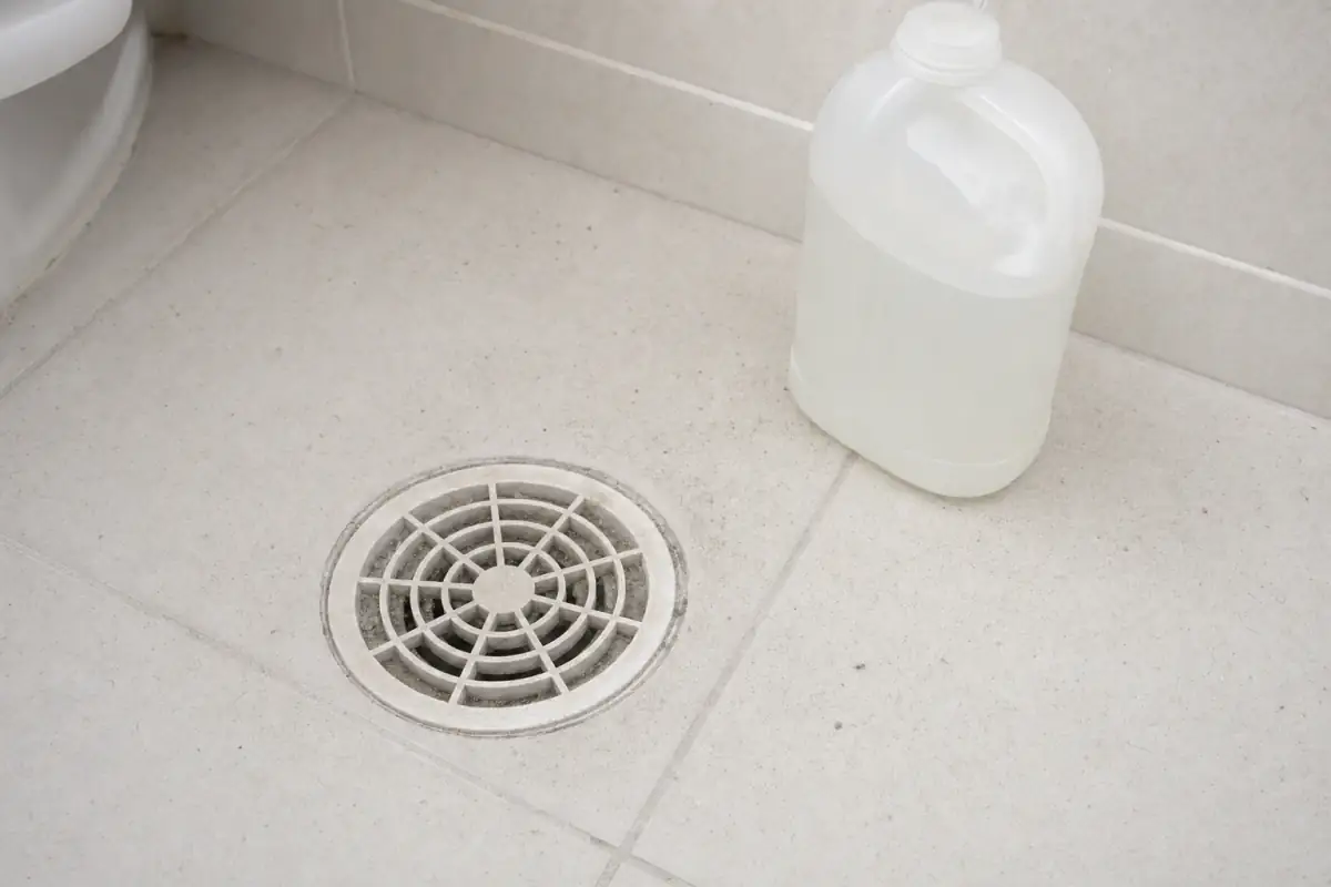Religação de Água Sanepar: Como Pedir Depois do Corte 2 Ralo de banheiro seco com poeira e uma jarra de água plástica ao lado, no piso de cerâmica