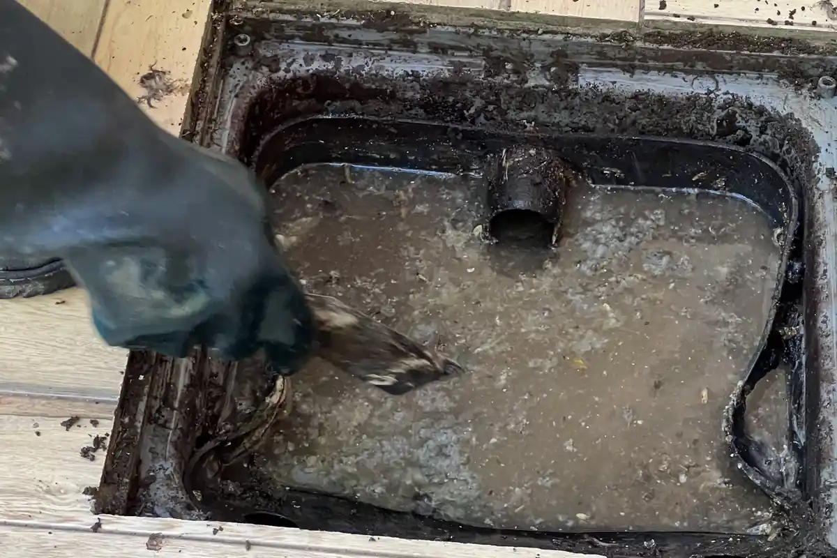 Como Desentupir Pia de Cozinha: Passo a Passo Seguro 1 Caixa de gordura aberta, com mão de luva raspando a camada de gordura da superfície