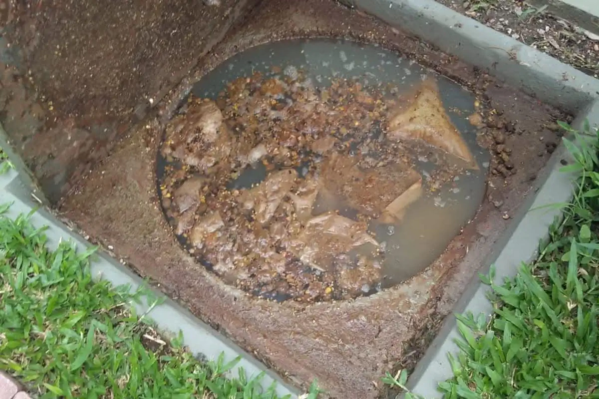 Como Limpar Caixa de Gordura: Guia Completo para Casa 2 Caixa de gordura redonda no gramado com tampa aberta e água turva com restos de comida e gordura na superfície