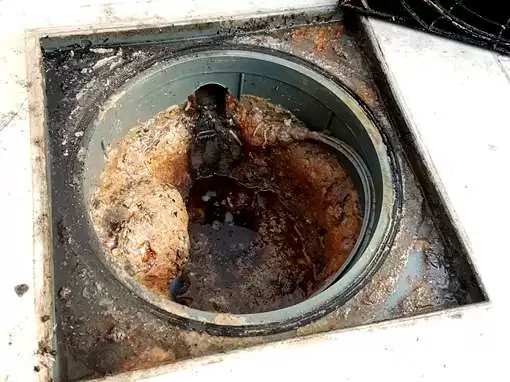 Limpando caixa de Gordura