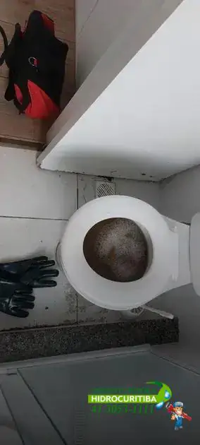Como usar bicarbonato para desentupir vaso sanitário passo a passo